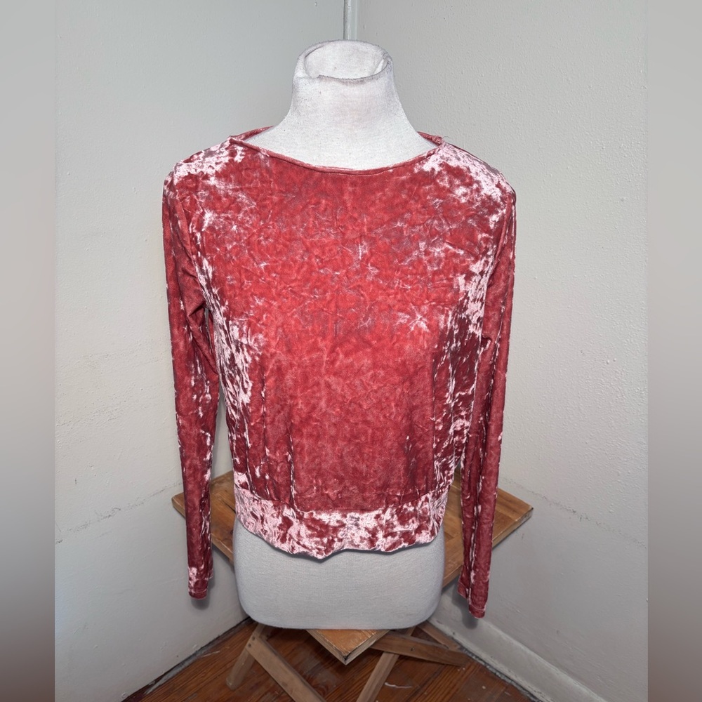 Design Lab Velvet Long Sleeve Crop Top